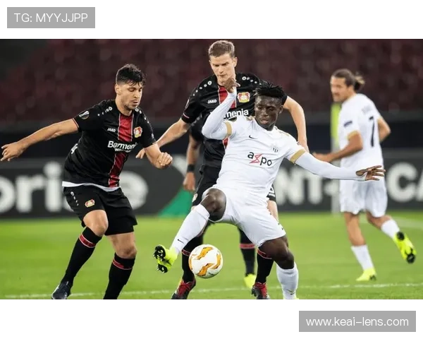 德甲数据网站深度解析球队战绩球员表现与赛季趋势全面观察